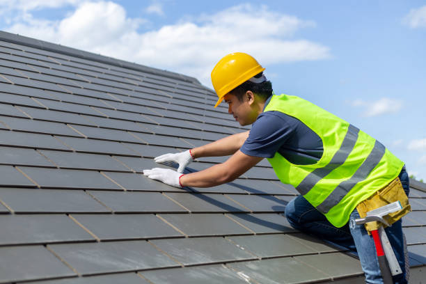 Roof Gutter Cleaning in Genoa City, WI