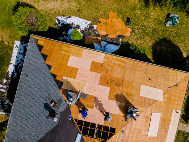 Best Roof Gutter Cleaning  in Genoa City, WI