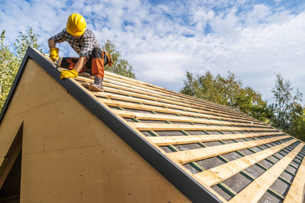 Best Roof Leak Repair  in Genoa City, WI