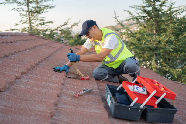 Best Roof Repair Services  in Genoa City, WI