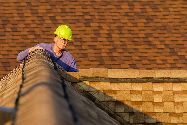 Best Residential Roofing Contractor  in Genoa City, WI