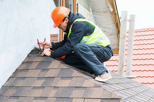 Best Roof Leak Repair  in Genoa City, WI