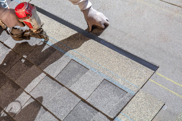 Best Roof Leak Repair  in Genoa City, WI