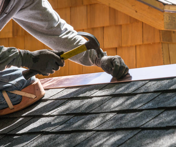 Best Shingle Roofing Installation  in Genoa City, WI